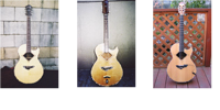 GALLERY  VELVET GUITARS